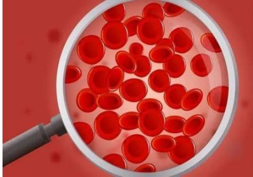 王不留行下奶用法要记牢？生和熟的正确用量有截然不同的效果！