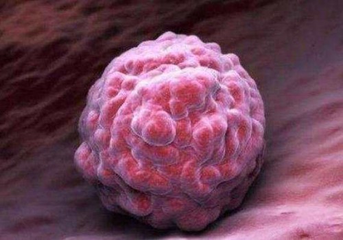 保胎这段时间有哪些需要注意的地方？