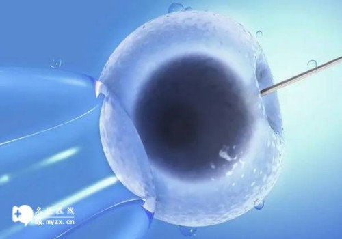 黄热病是一种什么病,它的治疗方法是什么