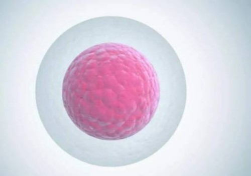 生精片治疗弱精效果怎么样？生精片有副作用吗