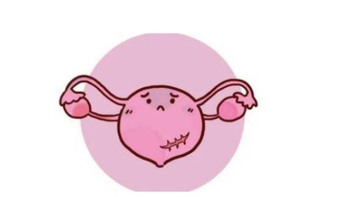 北京试管婴儿价格：新生儿肝功能检查有必要，及时发现肝脏问题才能及时治疗