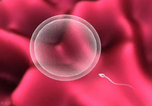 北京试管助孕公司：促排第21天没排卵大概率是失败了，没排出的原因主要有三个